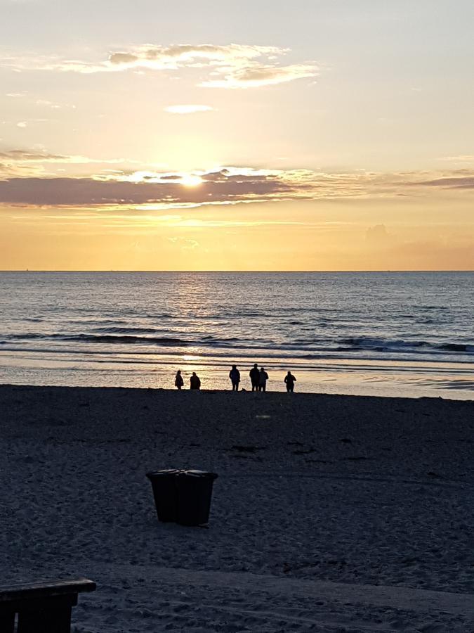 B&B Duinroos De Koog - Texel Kültér fotó